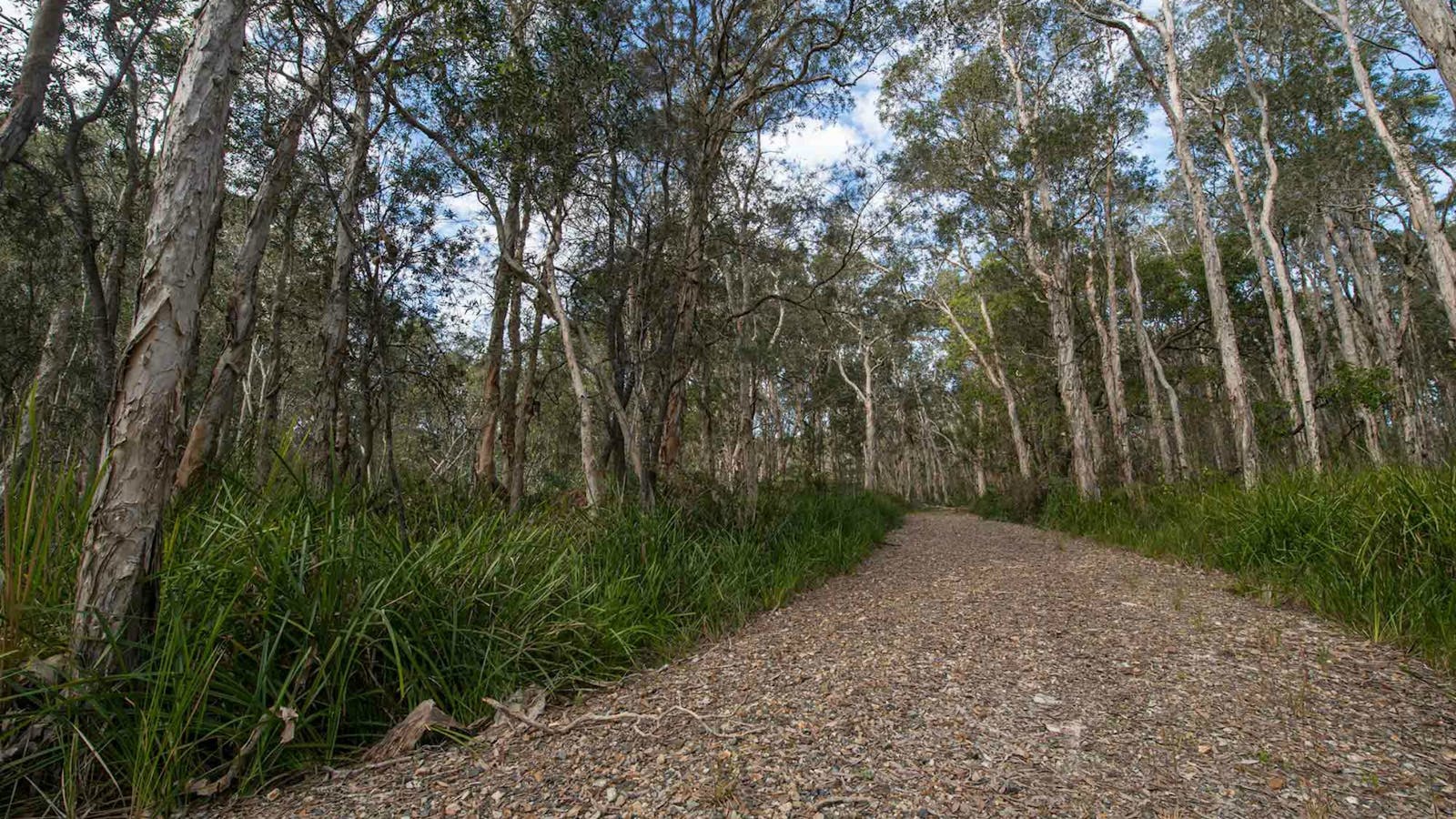 Googik Heritage Walking Track