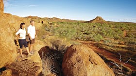 Overlander's Way