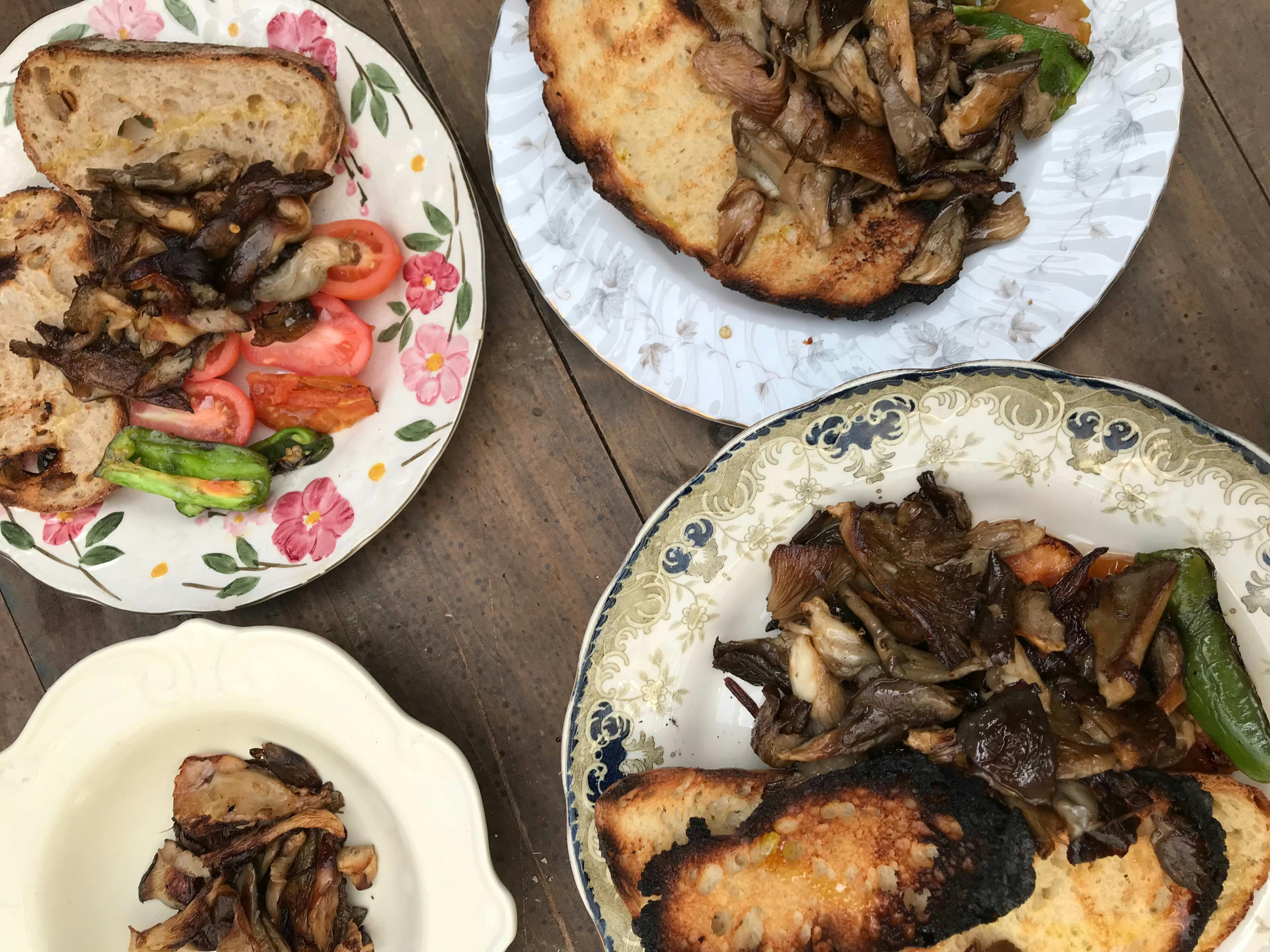 How to grow mushrooms at home as part of your Kitchen Garden practice