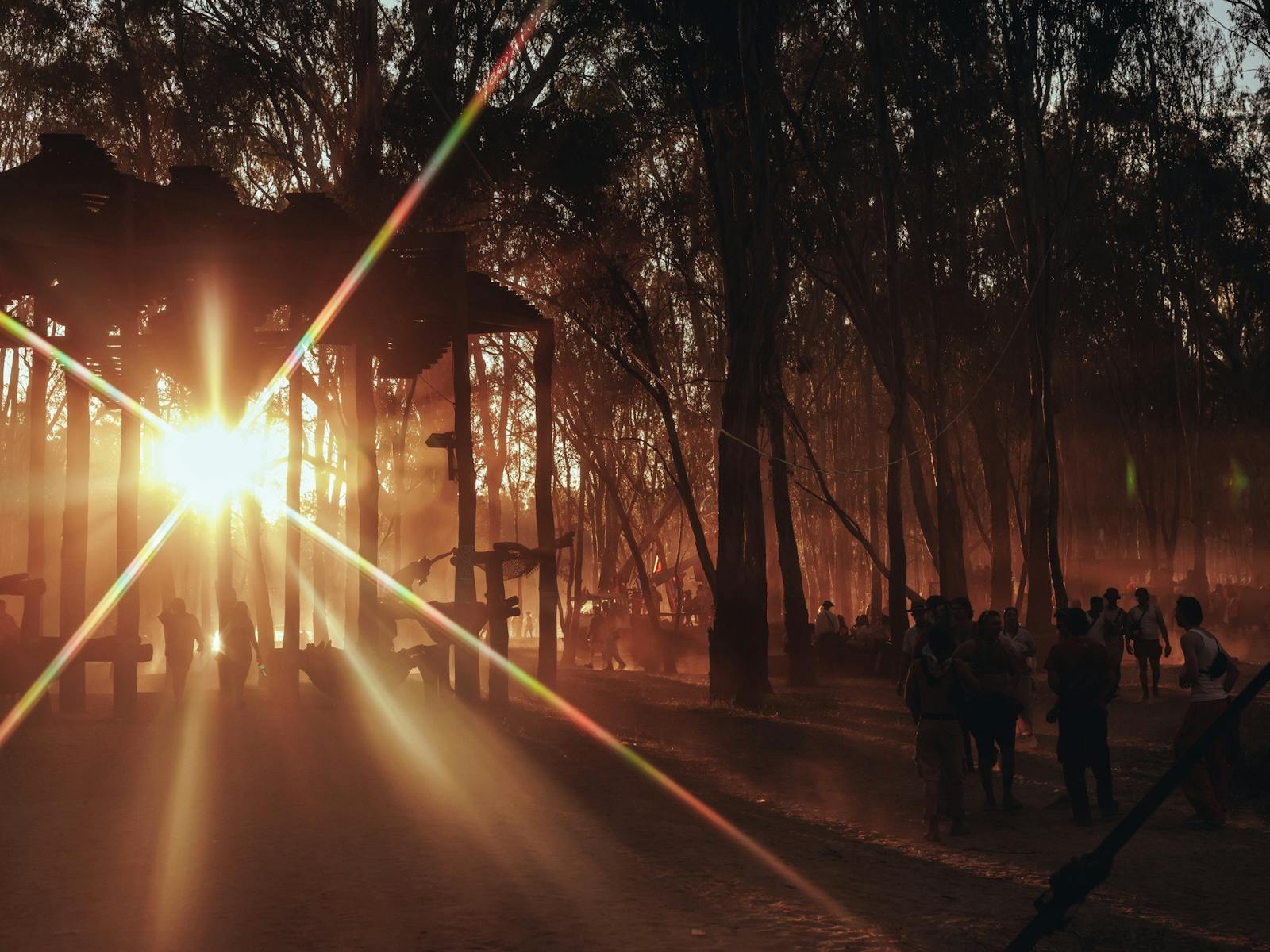 Image of golden hour on the banks of the mighty Murray  with light shining through the ghost gums