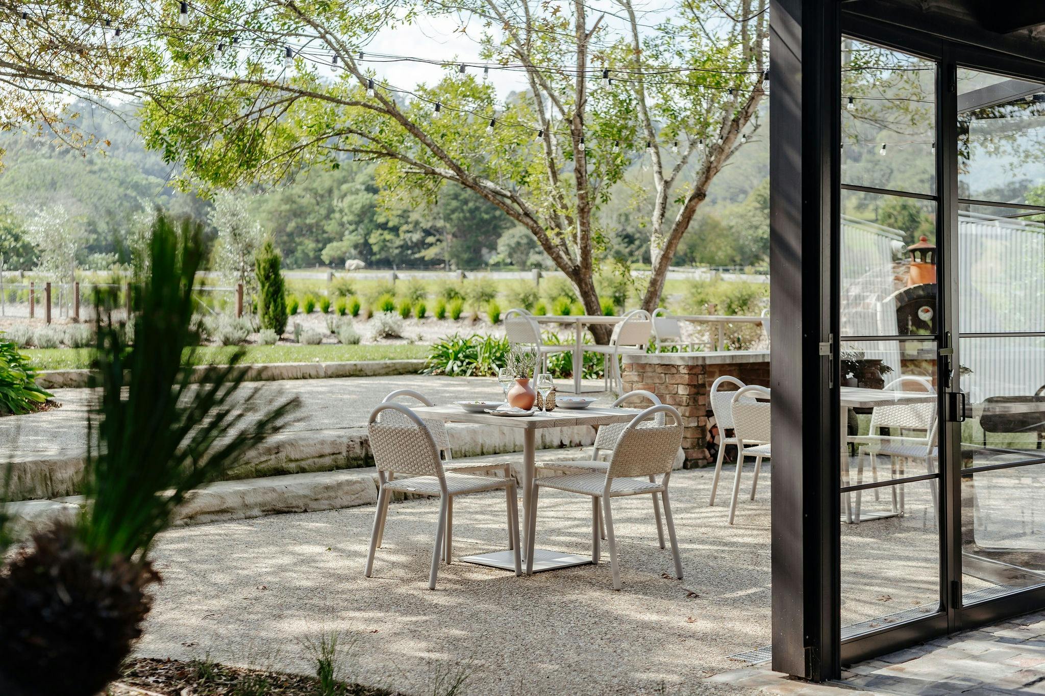 モラエアファームベリー