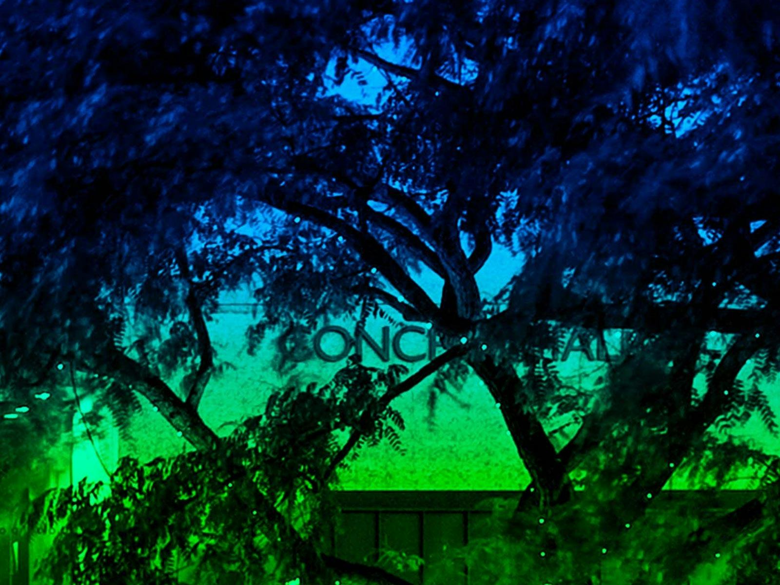 Live at Melbourne Street Green