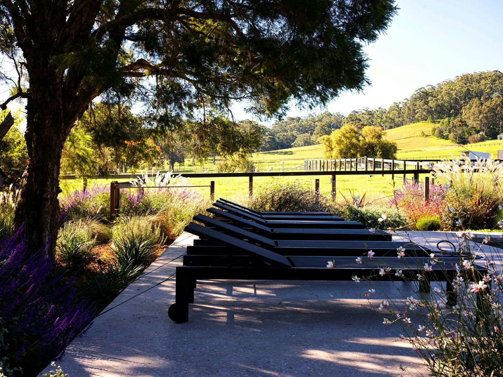 Moraea Farm Berry NSW - by Linnaeus Collection - Sun lounges by the pool and overlooking the estate