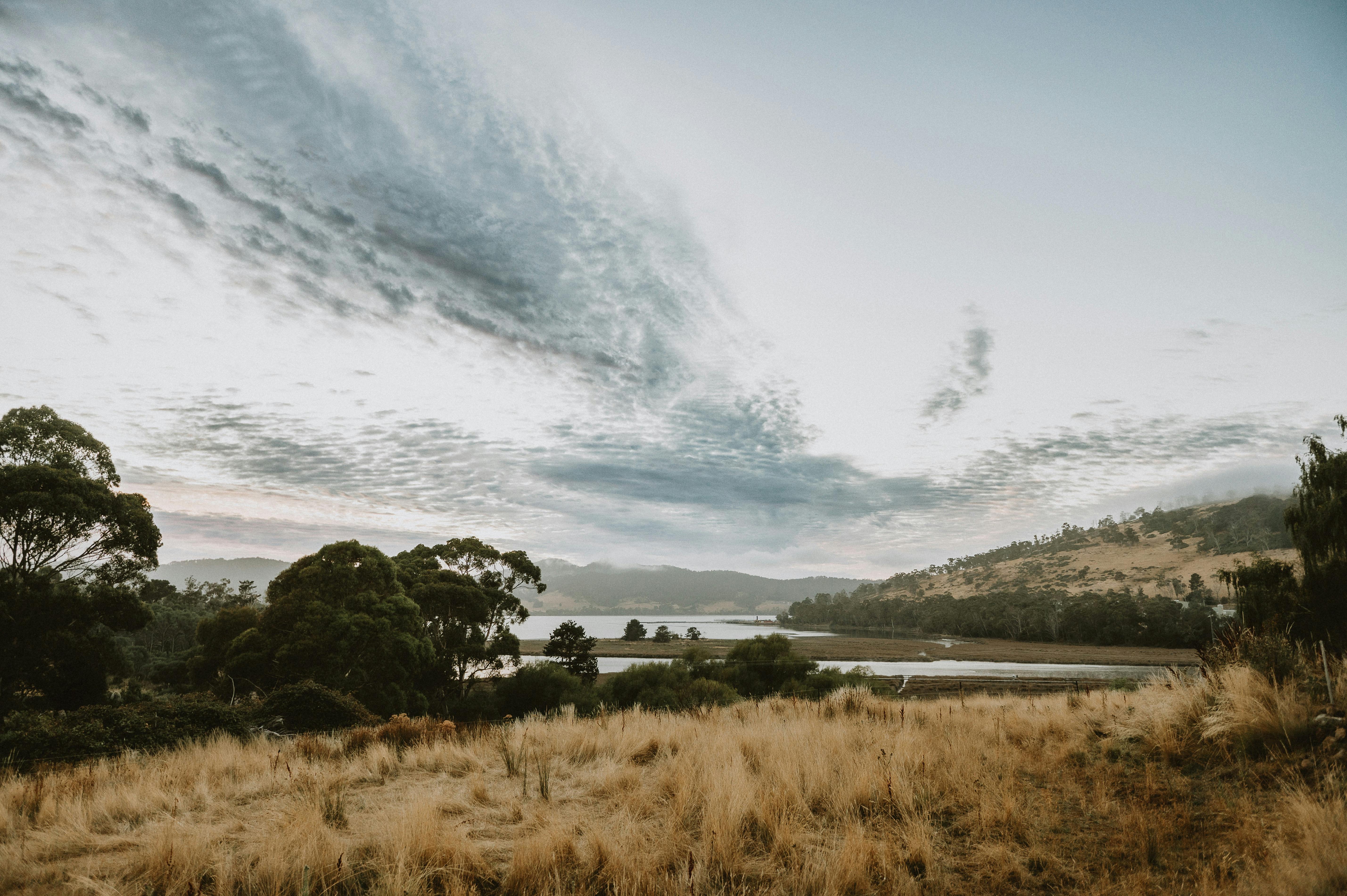 A paddock with a river in the background and clouds in the sky