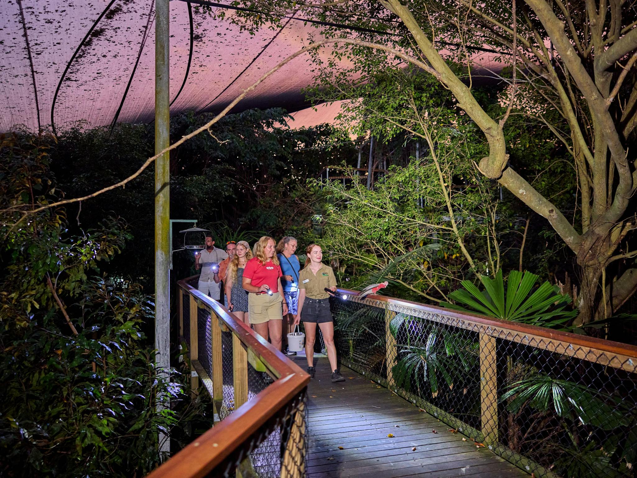 A wildlife keeper tour guide and a group of visitors spotlighting in the dusk at Rainforest Habitat