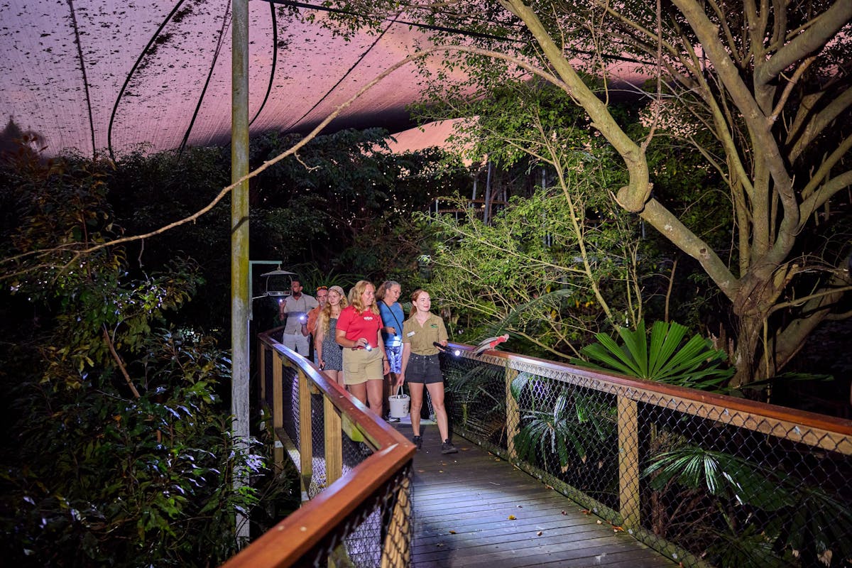 A wildlife keeper tour guide and a group of visitors spotlighting in the dusk at Rainforest Habitat