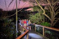 A wildlife keeper tour guide and a group of visitors spotlighting in the dusk at Rainforest Habitat