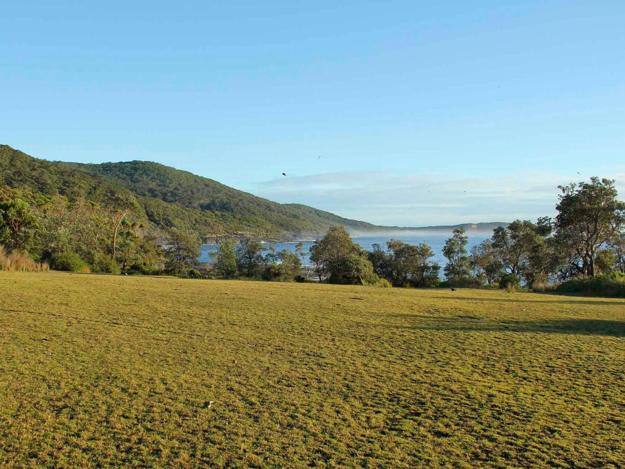 Pretty Beach to Durras Mountain Walking Track. Murramrang National Park. Photo: John Yurasek.