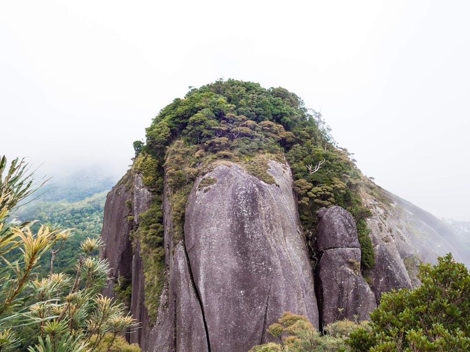 Lambs Head (Kahlpahlim Rock) Cairns & Great Barrier Reef