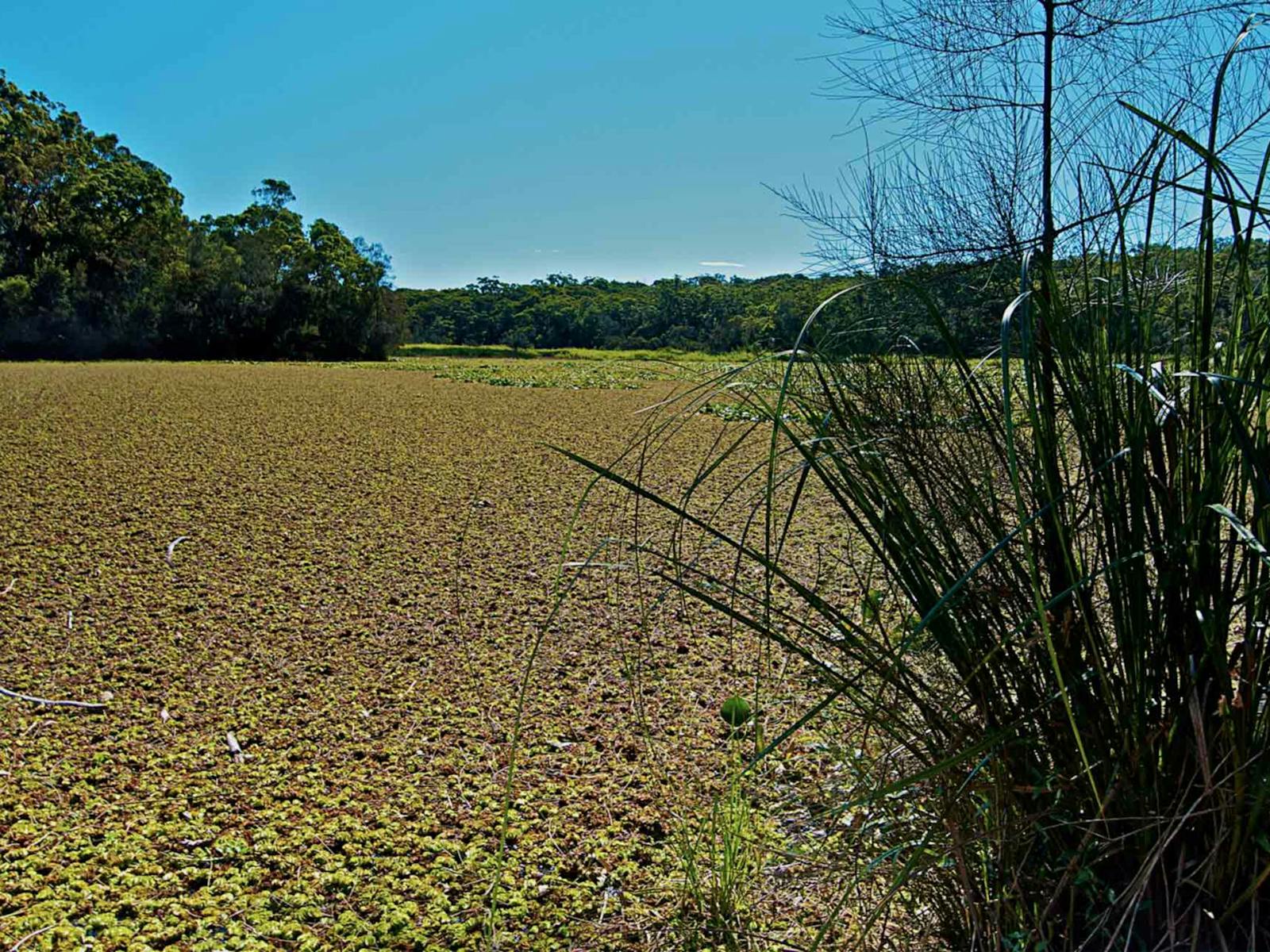 The lagoon. Photo: John Spencer