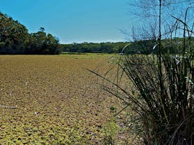 Yeramba Lagoon Loop Track