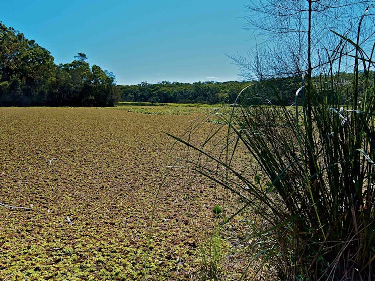 The lagoon. Photo: John Spencer