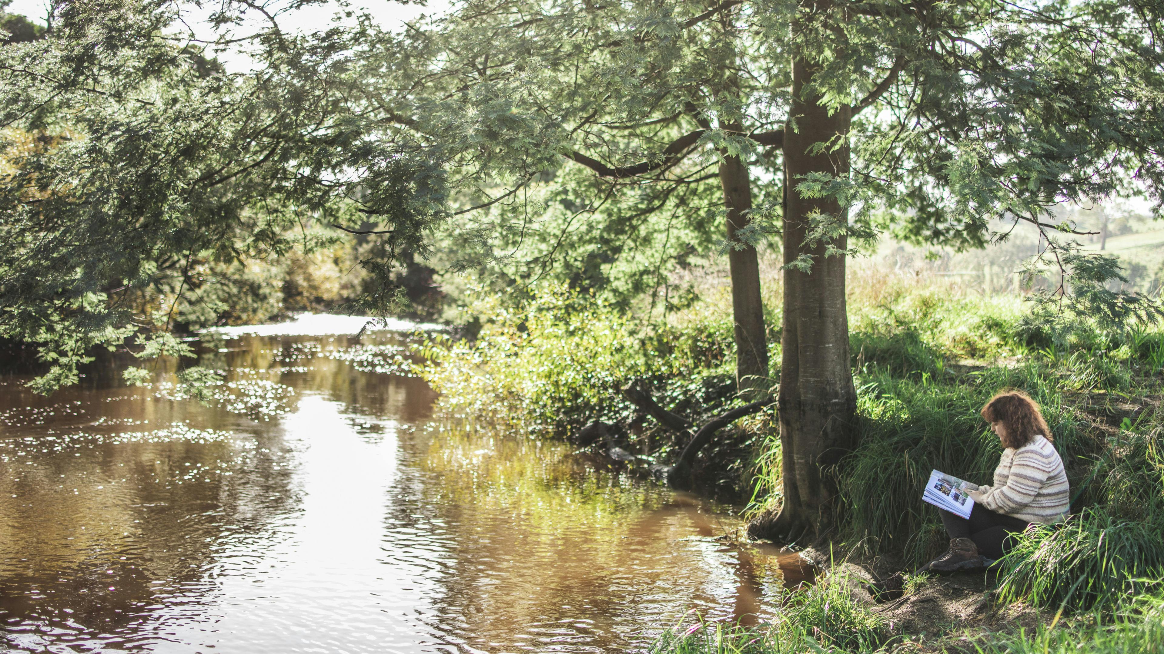 Fairview Farm Ringarooma Tasmania
