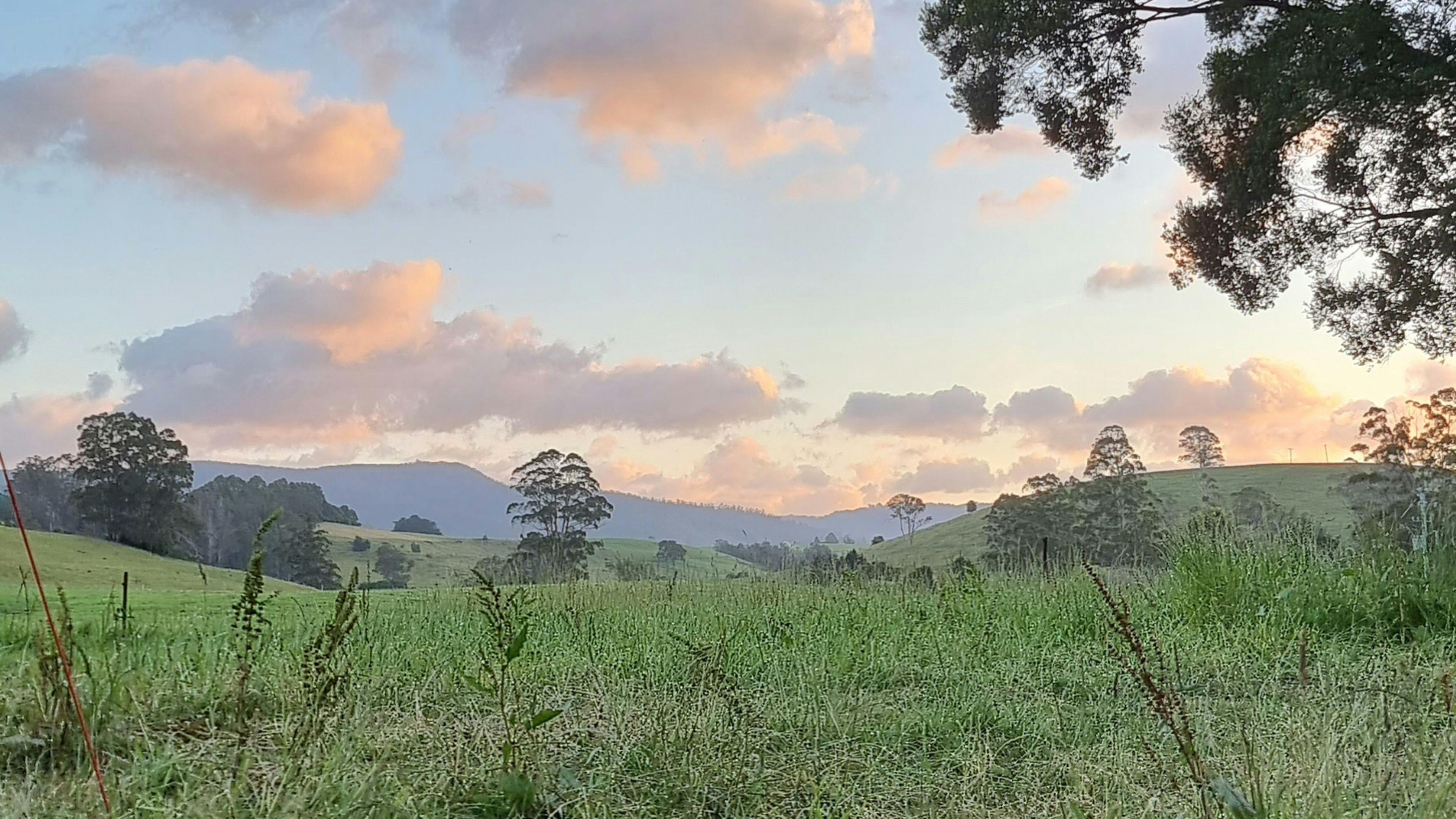 Fairview Farm Ringarooma Tasmania