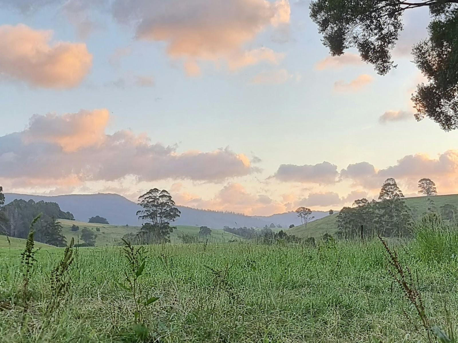 Fairview Farm Ringarooma Tasmania