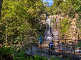 Visitors enjoy views of Minnamurra Falls at a viewing platform in Budderoo National Park. Photo