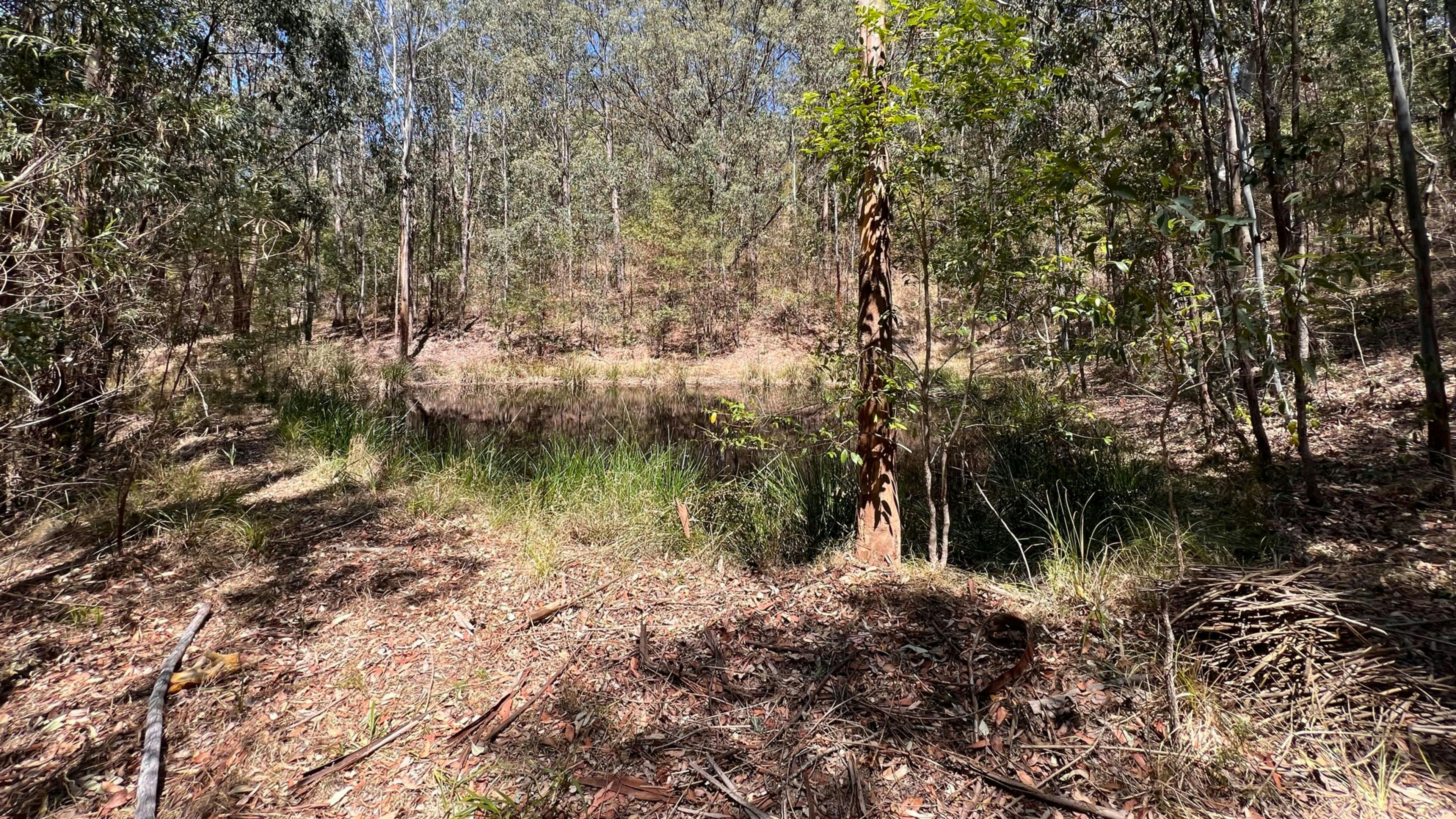 Unberührte Staudämme, in denen Sie schwimmen können