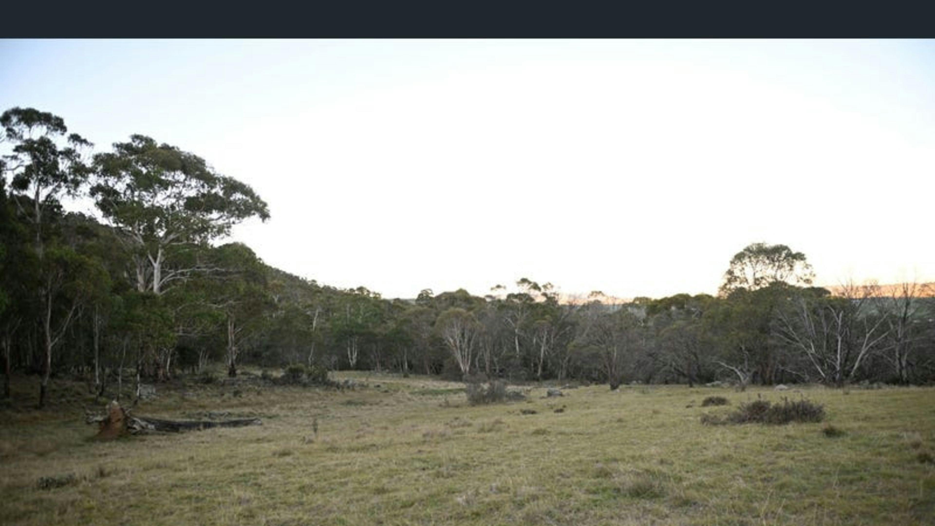 Alpine Bushland Camp