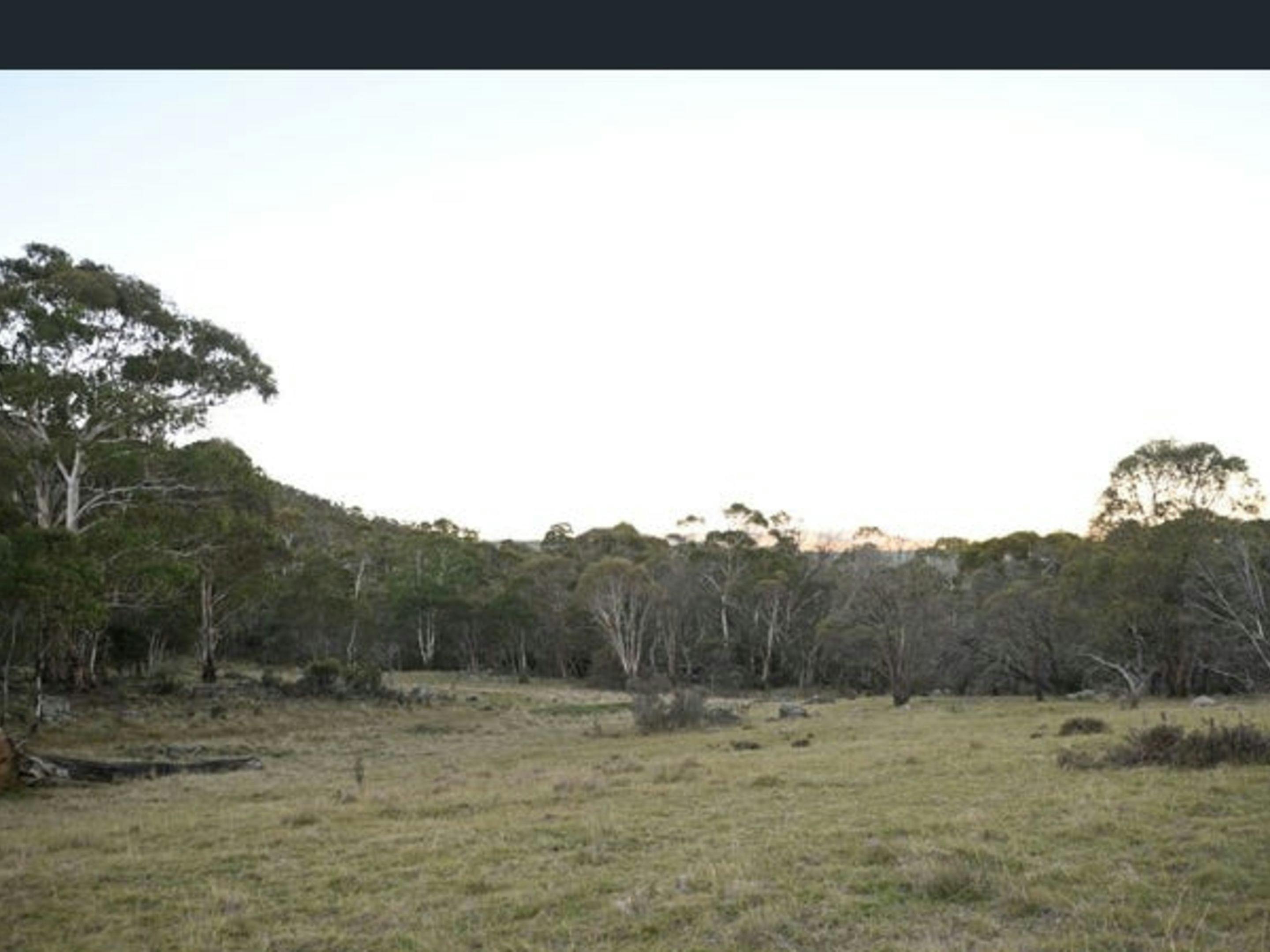 Alpine Bushland Camp