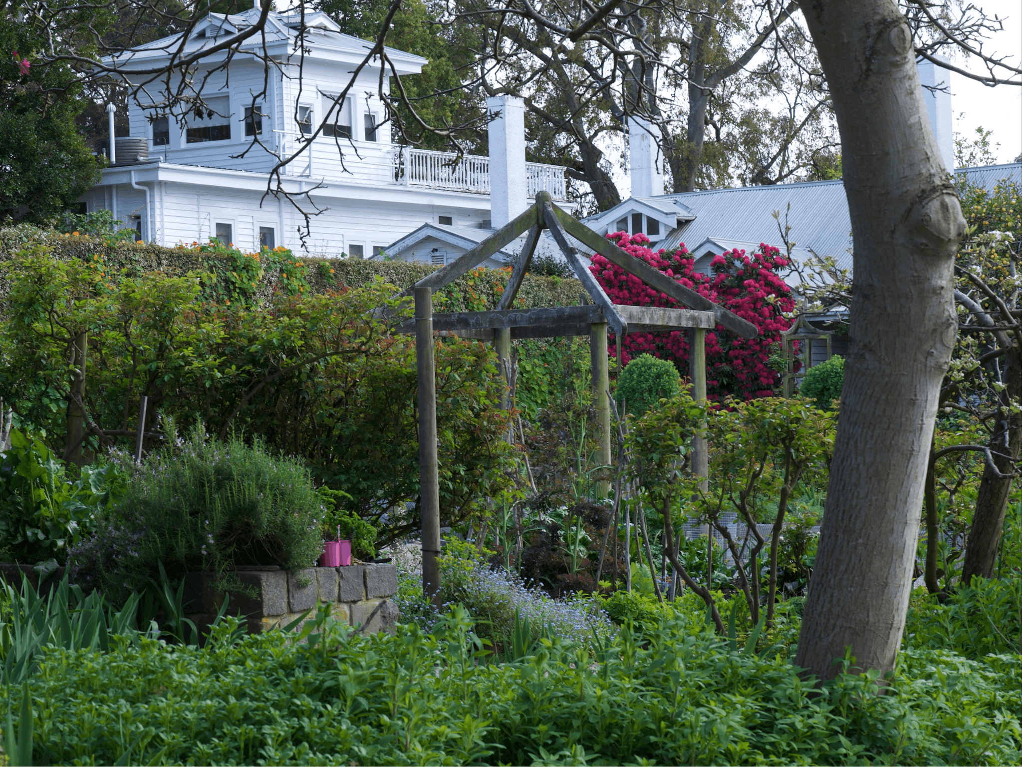 The Picking Garden at Cruden Farm in early Spring