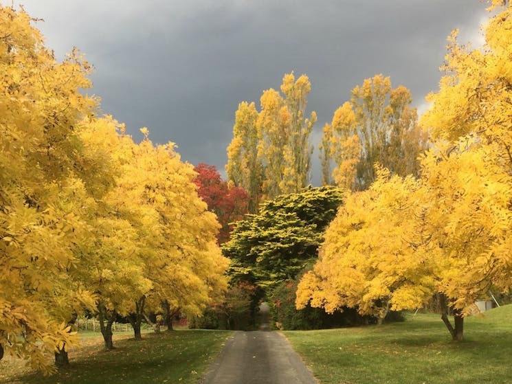 A stormy Autumn afternoon at Brangayne