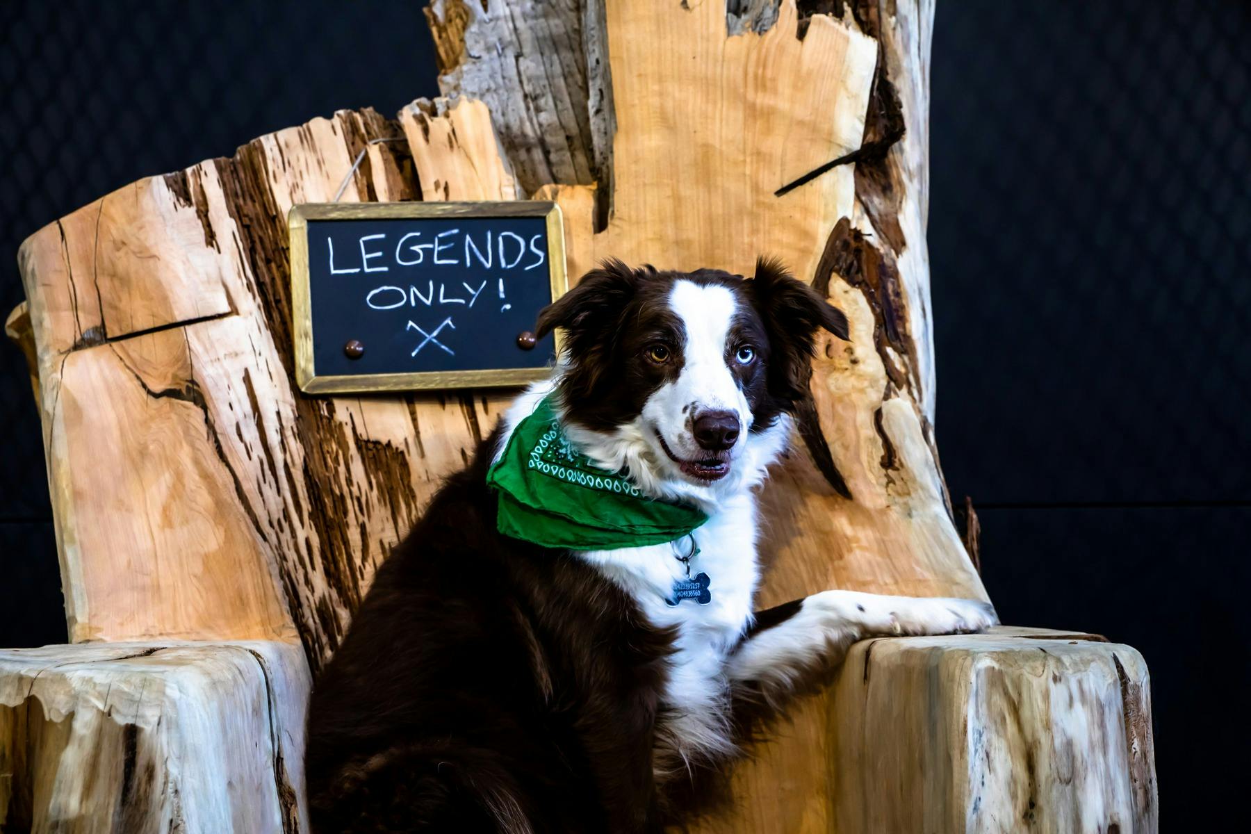 MANIAX Axe Throwing - Adelaide