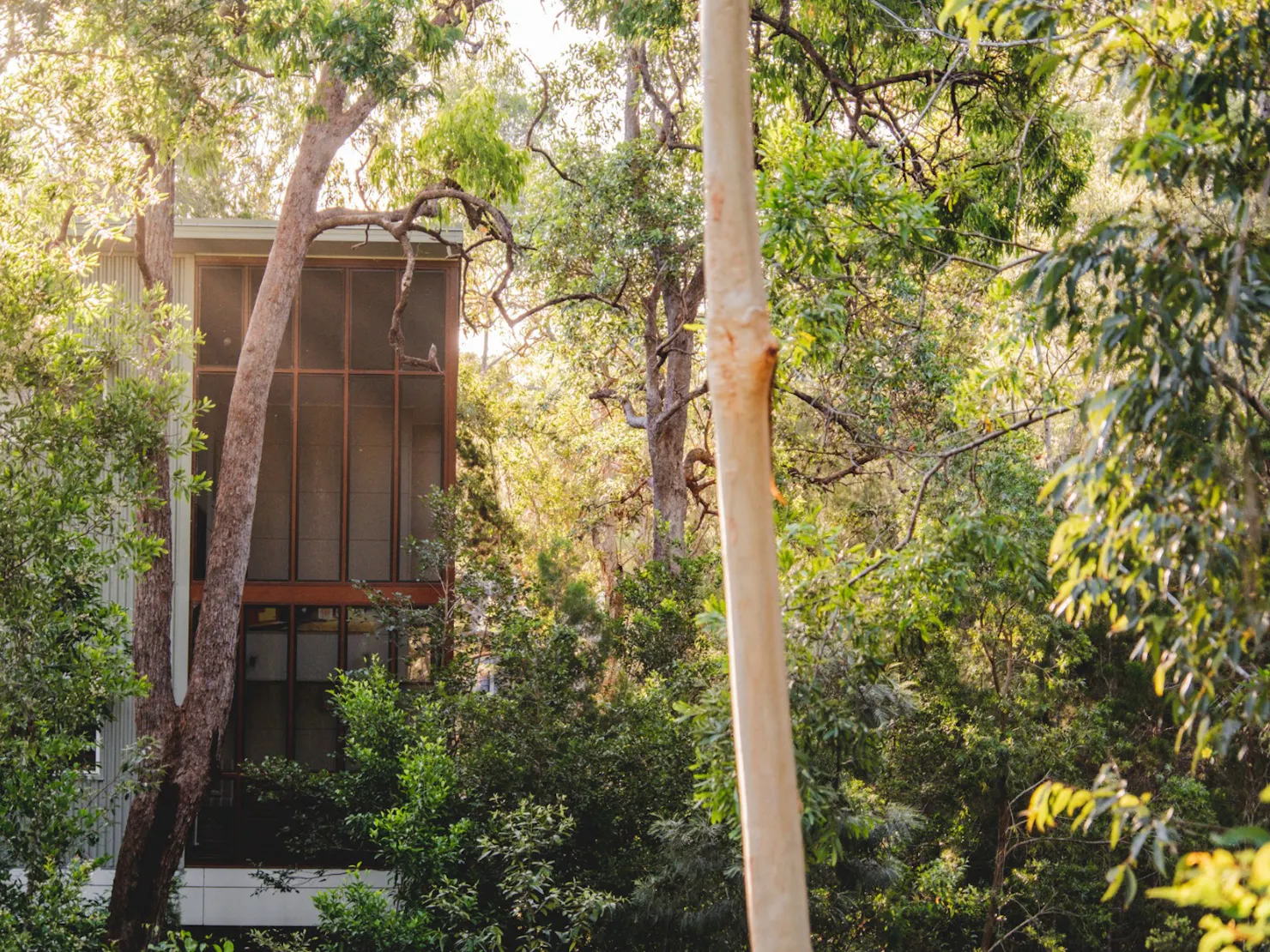 House exterior nestled in the Australian bush, surrounded by lush native trees.