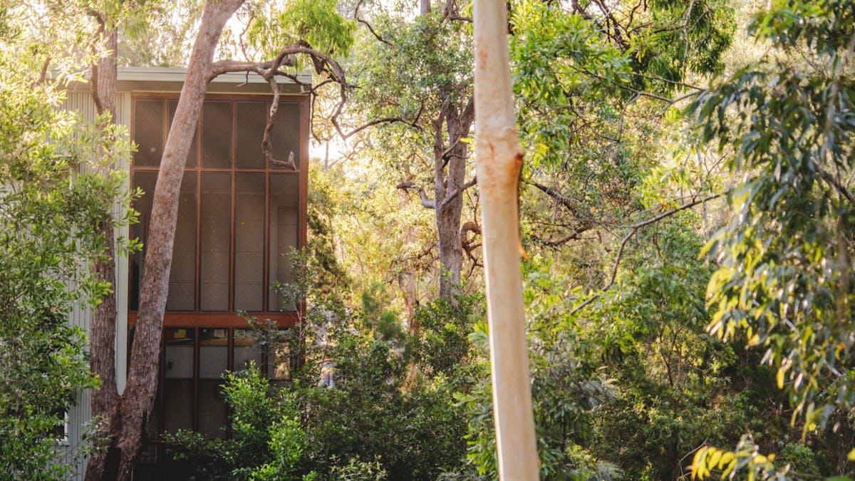House exterior nestled in the Australian bush, surrounded by lush native trees.