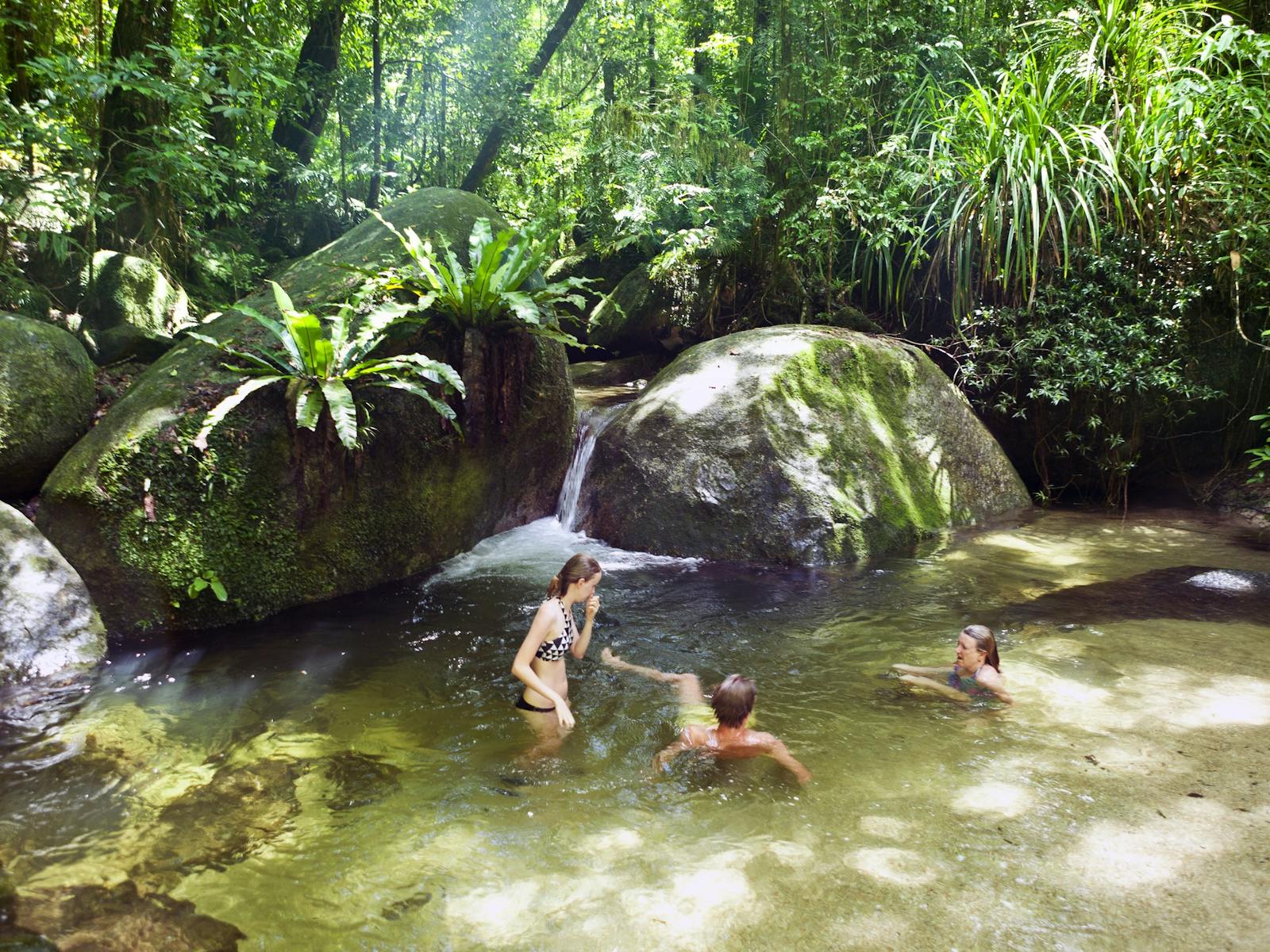 People swim in the pristine waters of Mossman Gorge amongst the oldest rainforest on earth