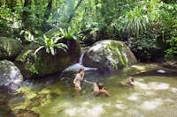 People swim in the pristine waters of Mossman Gorge amongst the oldest rainforest on earth