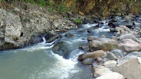 Stony Creek, Bellthorpe National Park