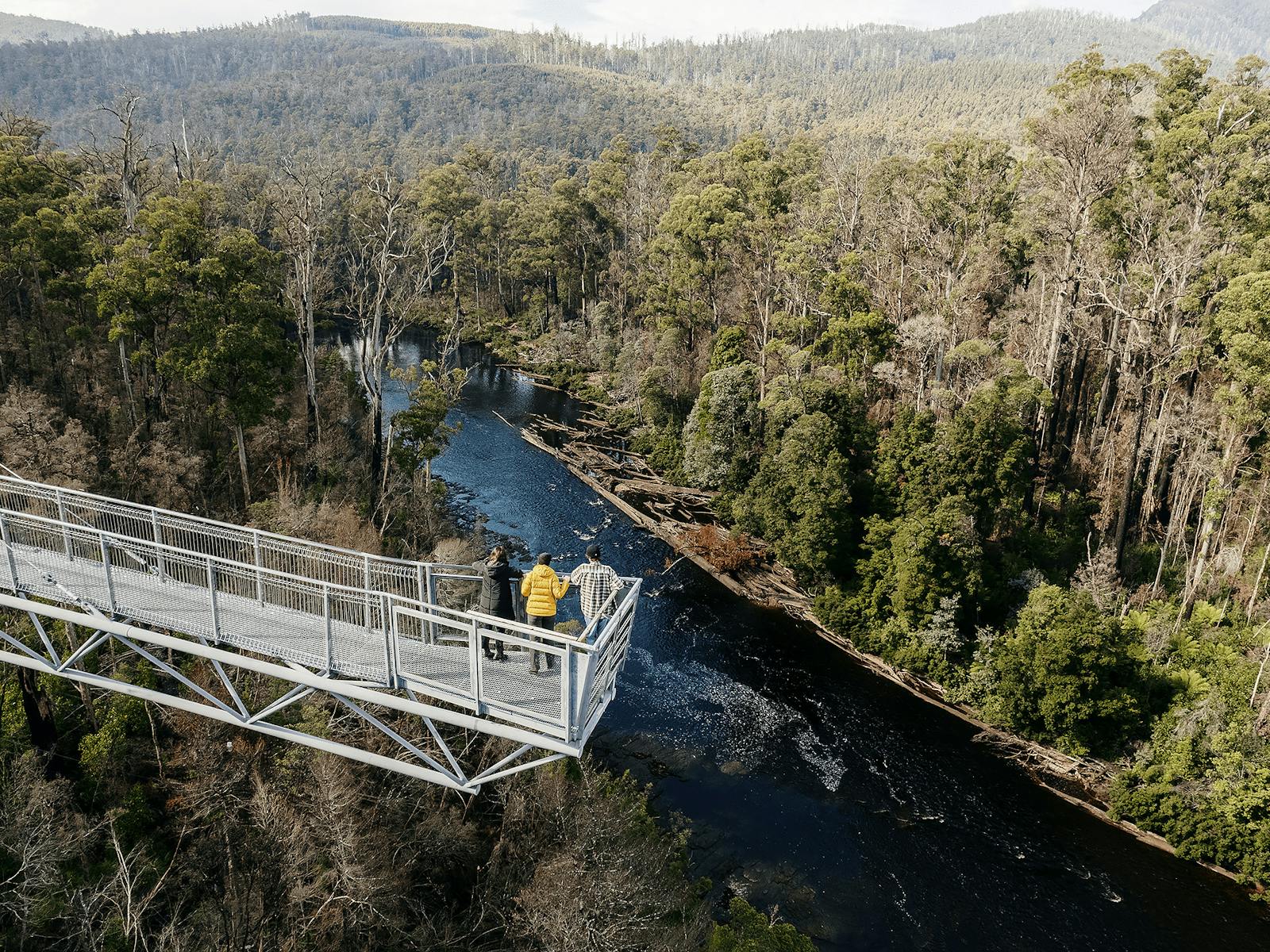 Cantilever on the Airwalk structure looking out over the river and forest landscape