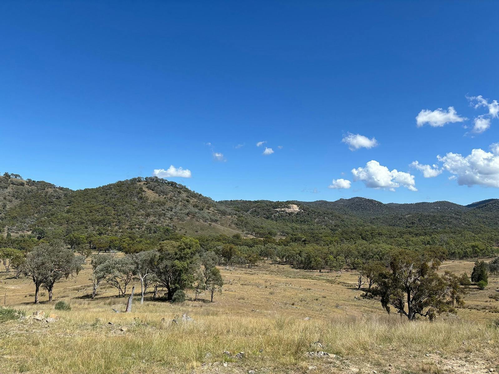 Frenchies Hut Outdoor View