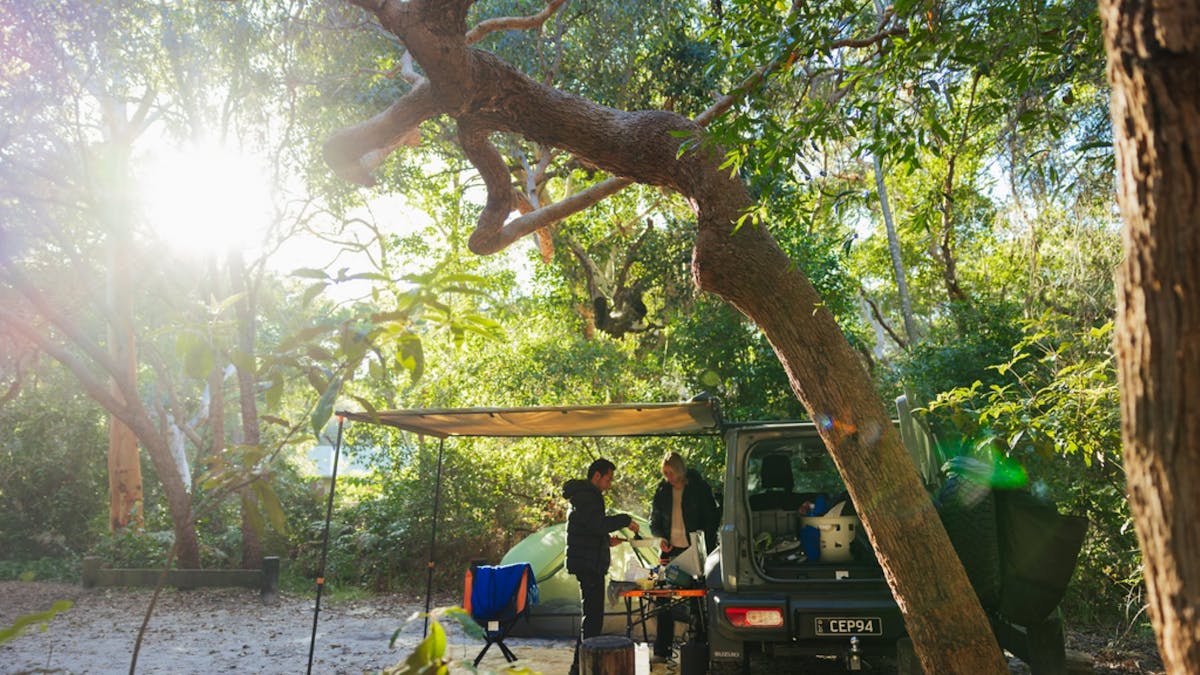 Greenery surrounding the campsite area