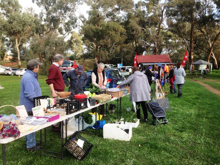 Stall holders and visitors at the market with large gum trees in the background.