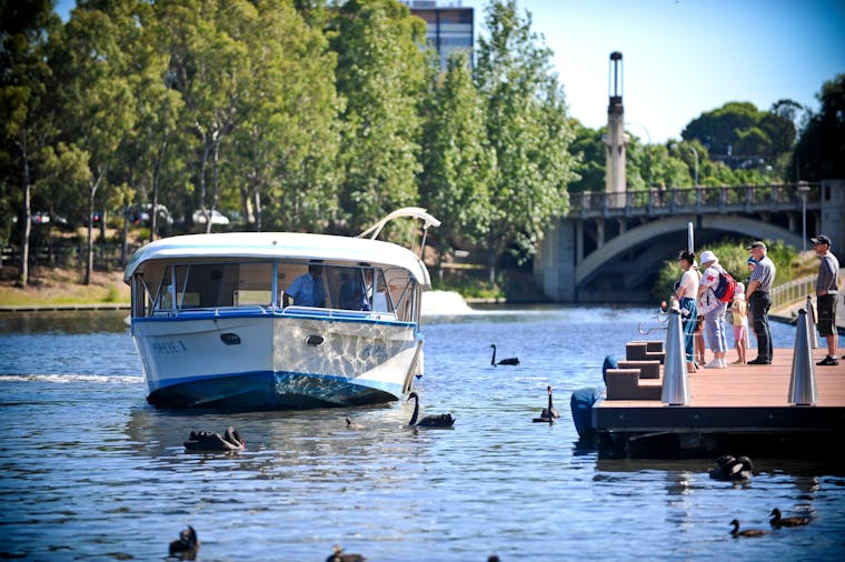 Torrens River Sightseeing Cruise on The Popeye