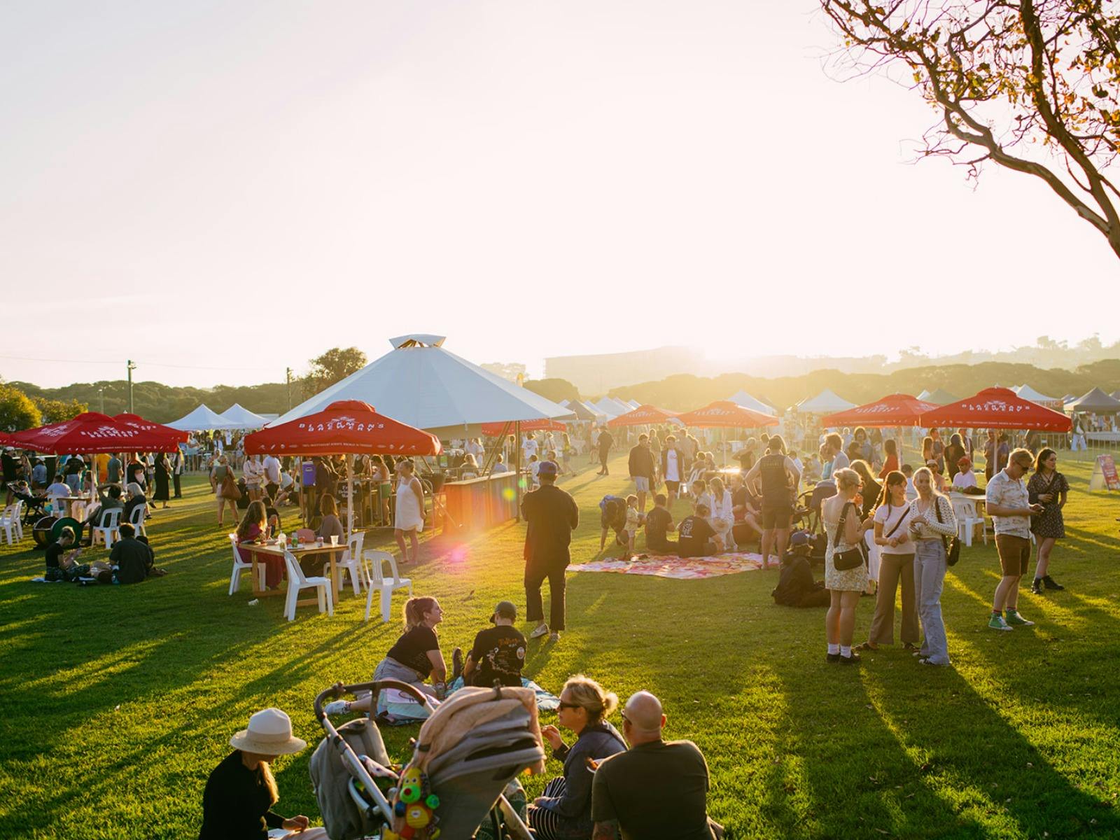 Nightjar Festival