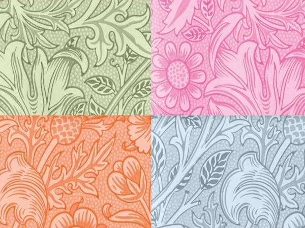 Morris & Co | An Adelaide Obsession