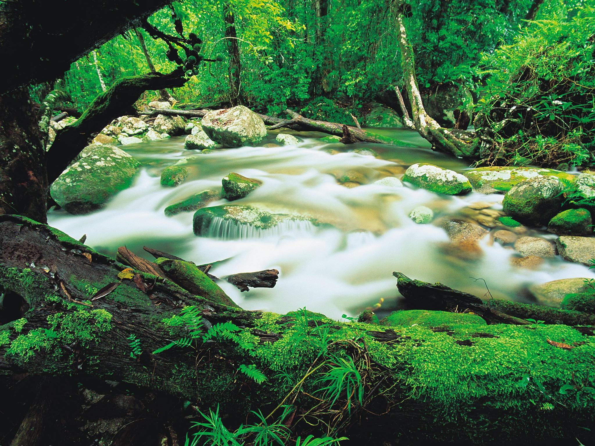Mossman Gorge Mossman Gorge