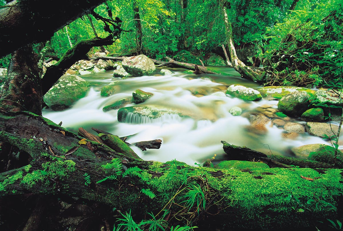 Mossman Gorge