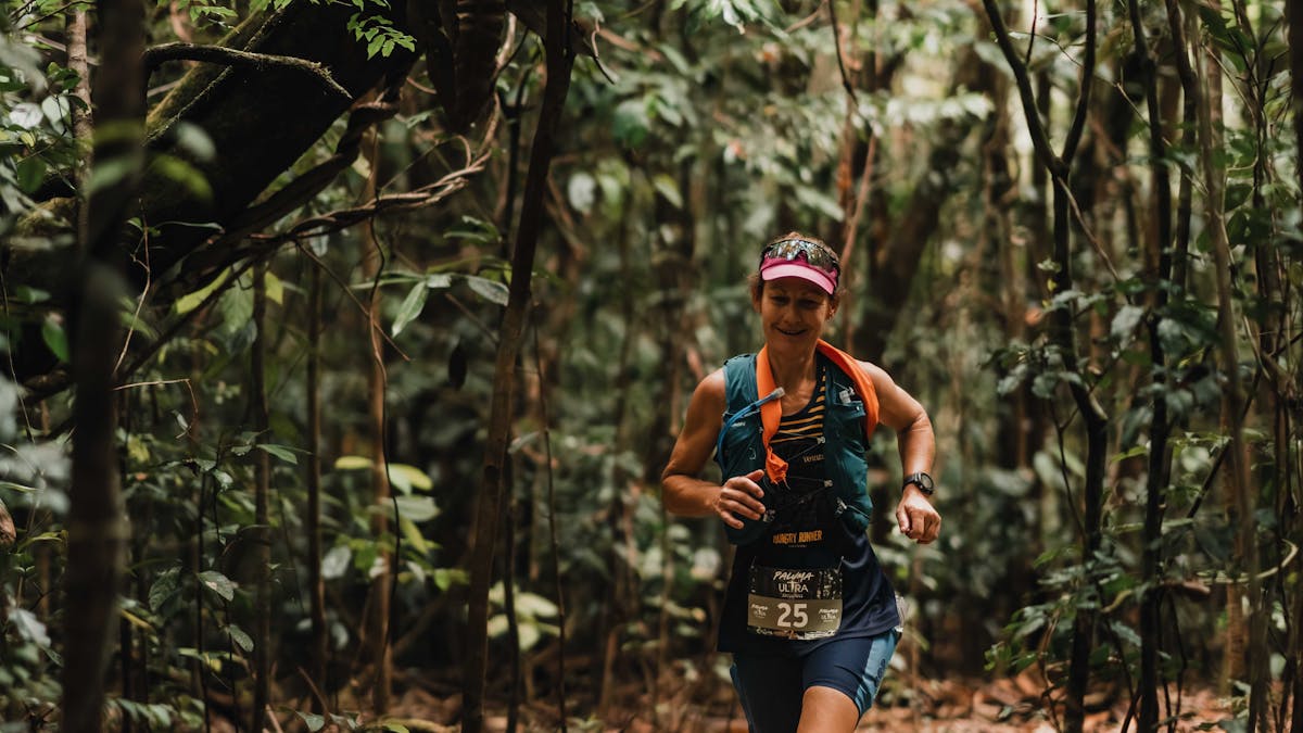 rainforest trails