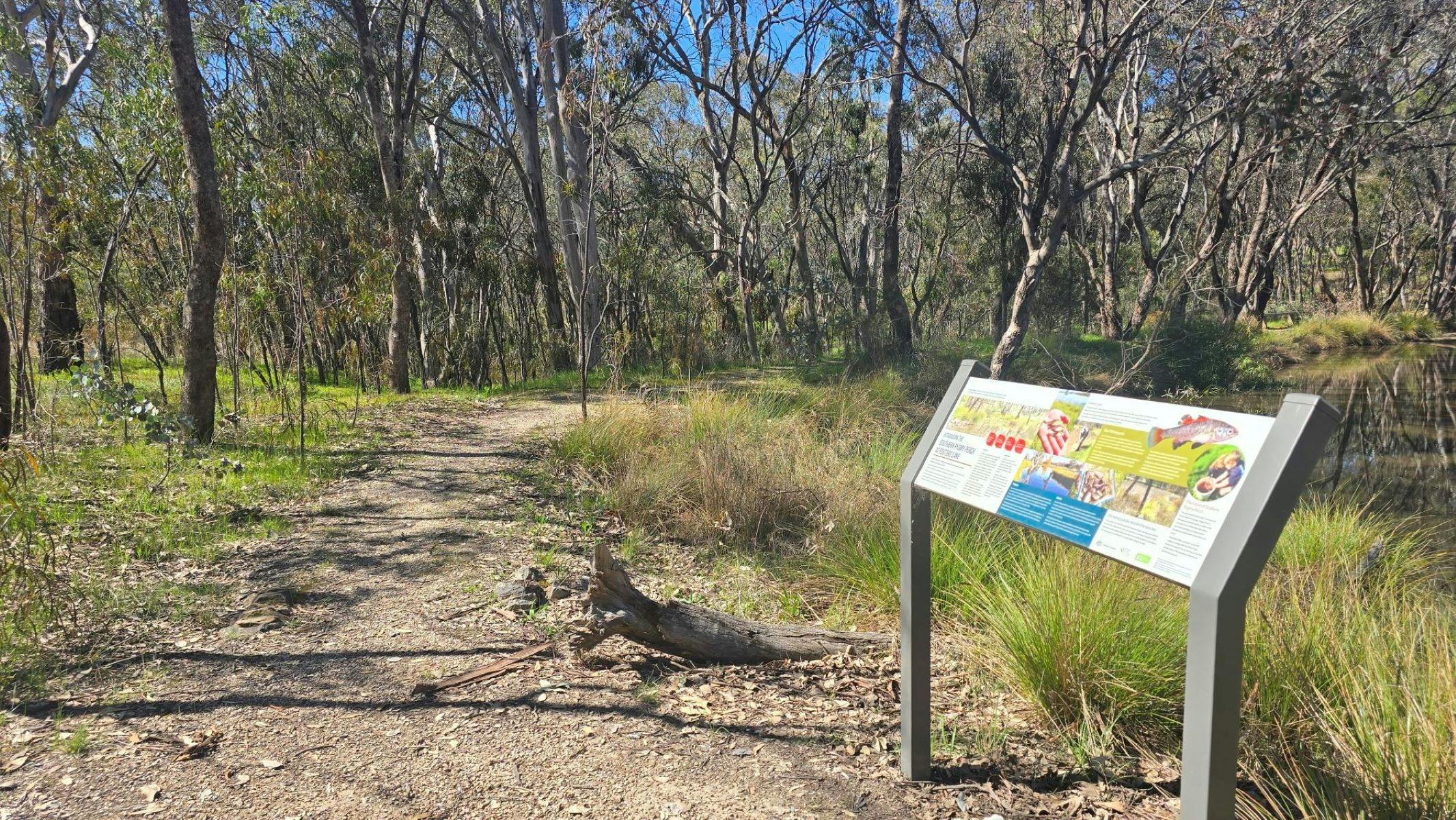 Dirt path winding through tall green grass with a white sign.
