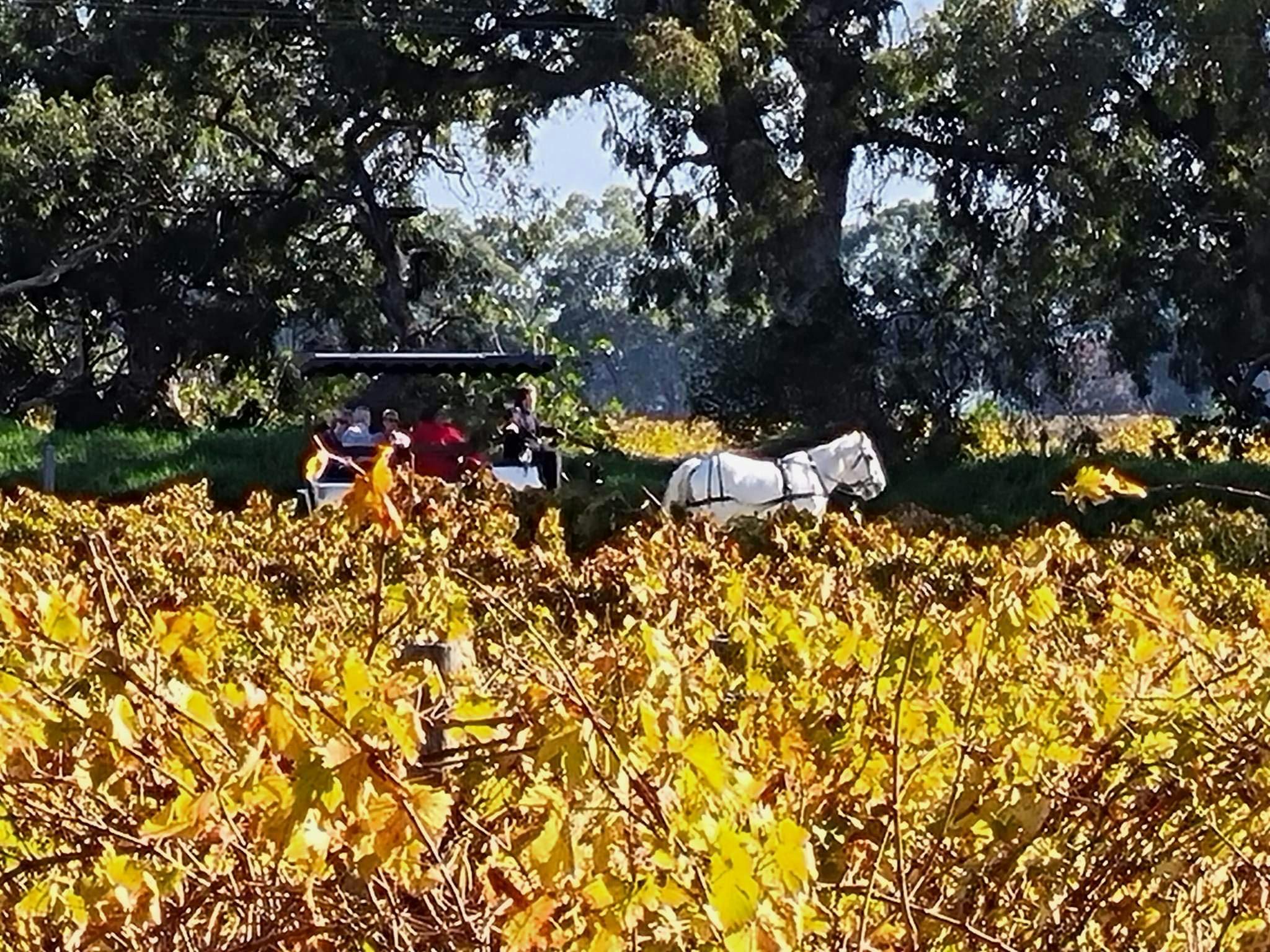 horse drawn carriage from the roof top of Kimbolton