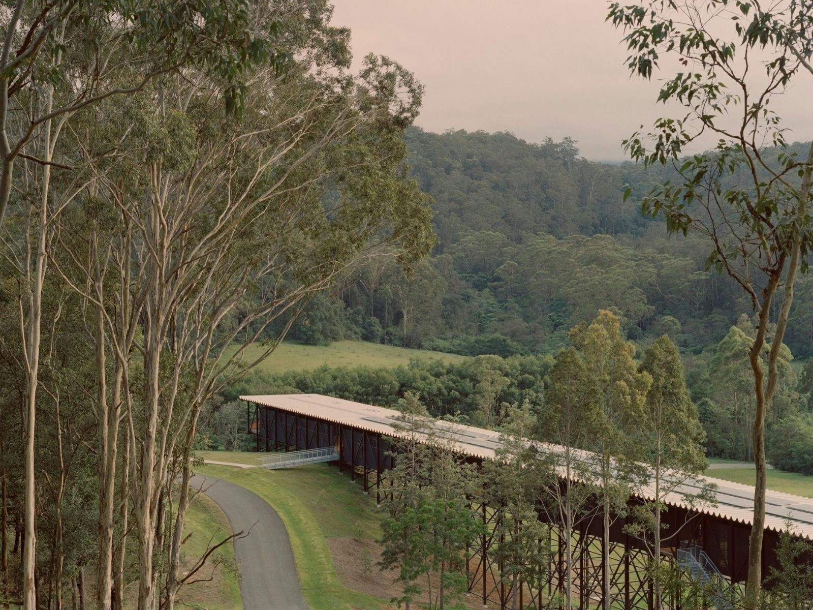 View of the Bridge from the hill behind the Art Museum