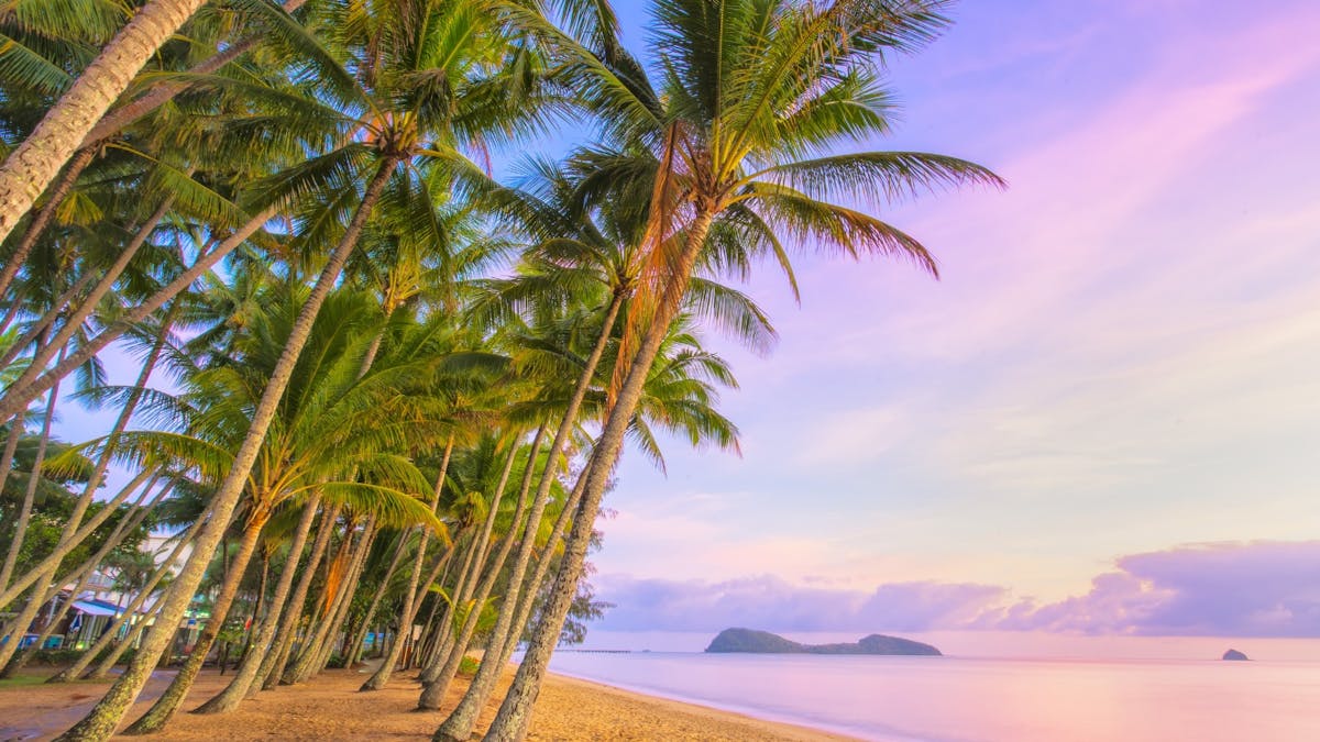 Far North Queensland Palms lean toward a perfect sunrise