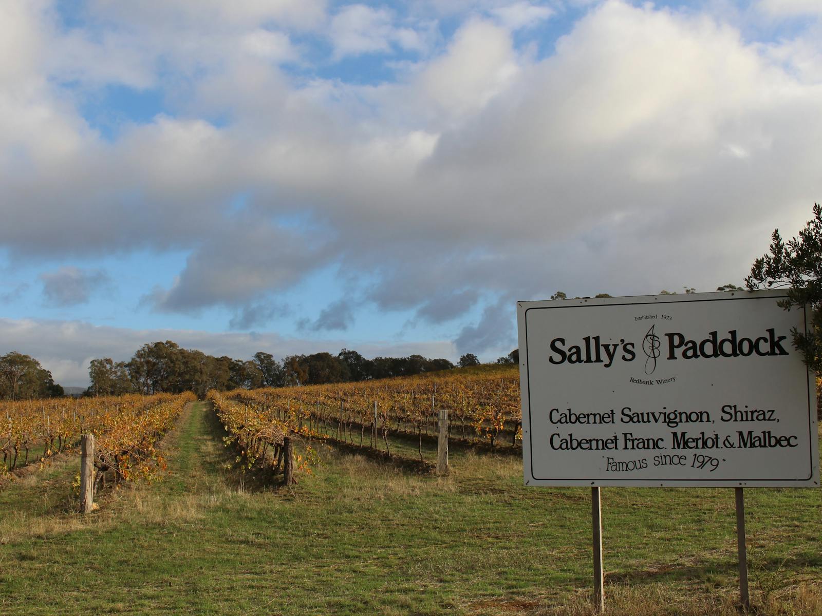Sally's Paddock at Redbank Winery