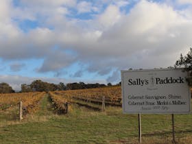 Sally's Paddock at Redbank Winery