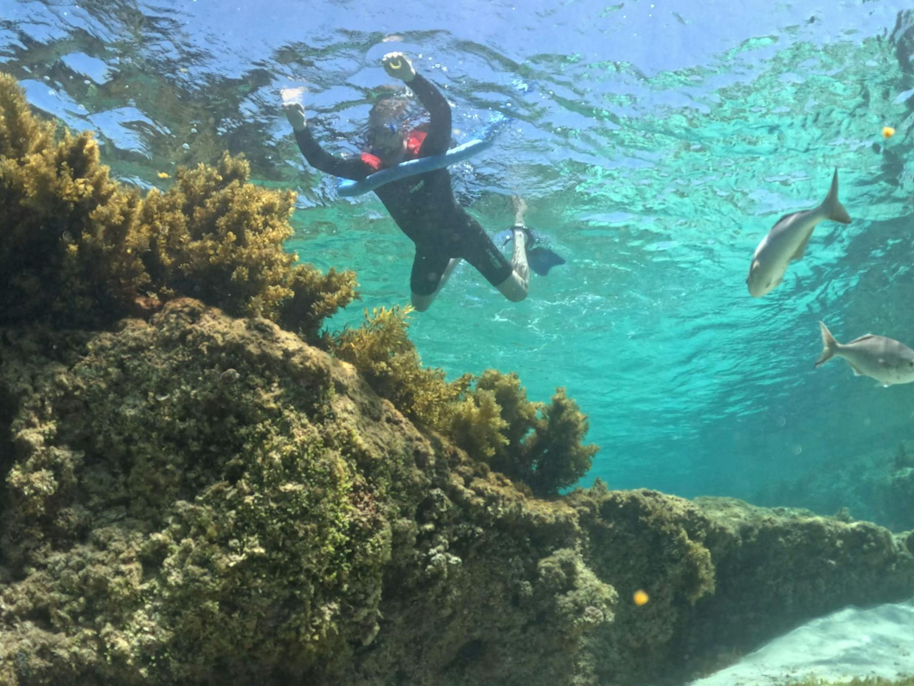 Busselton Jetty Underwater