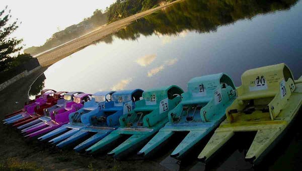 Terrigal Paddle Boats and Stand Up Paddle Board Hire