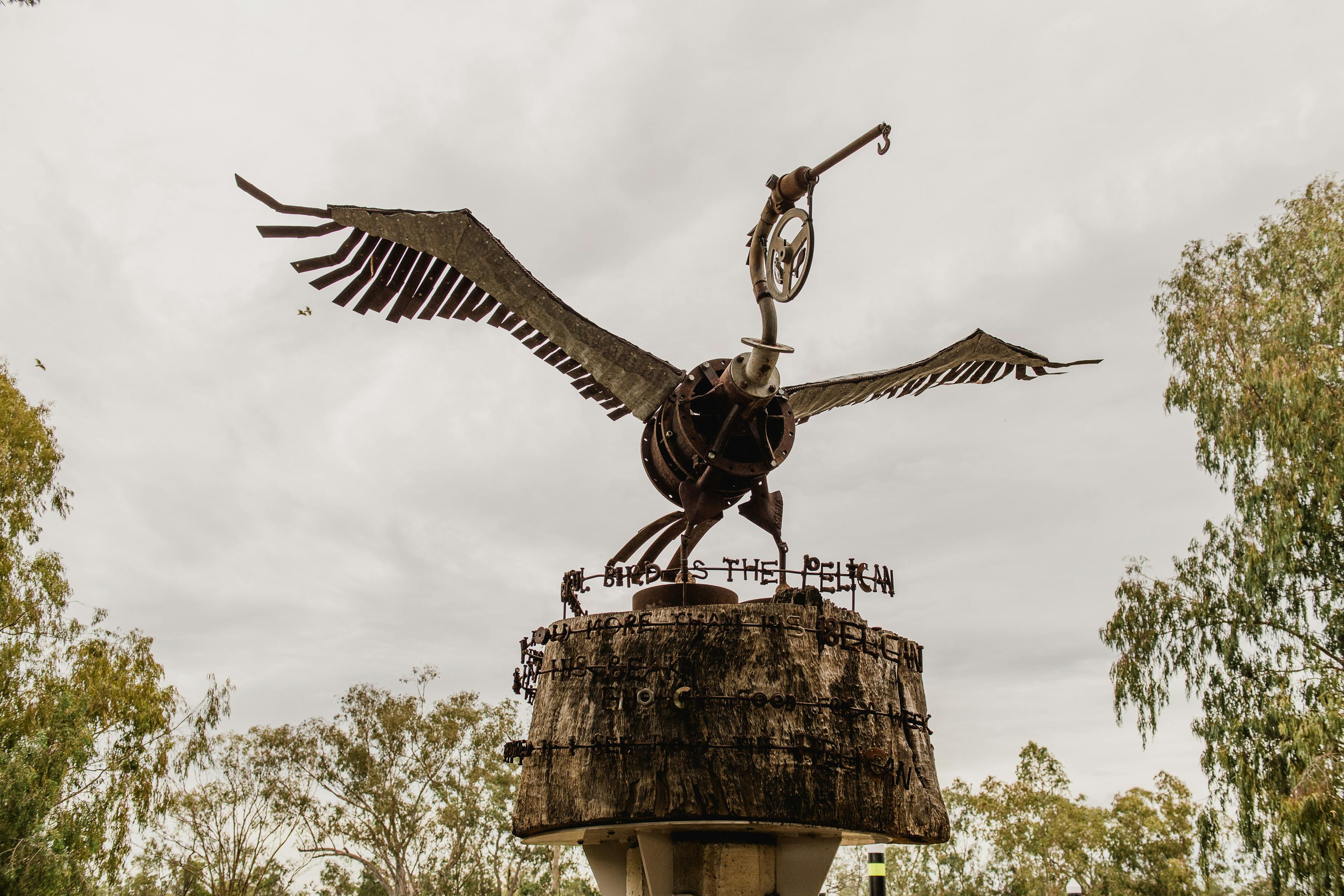 A Wonderful Bird is the Pelican